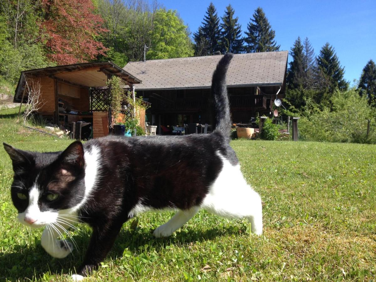 Chalet Ingas Troistorrents ภายนอก รูปภาพ