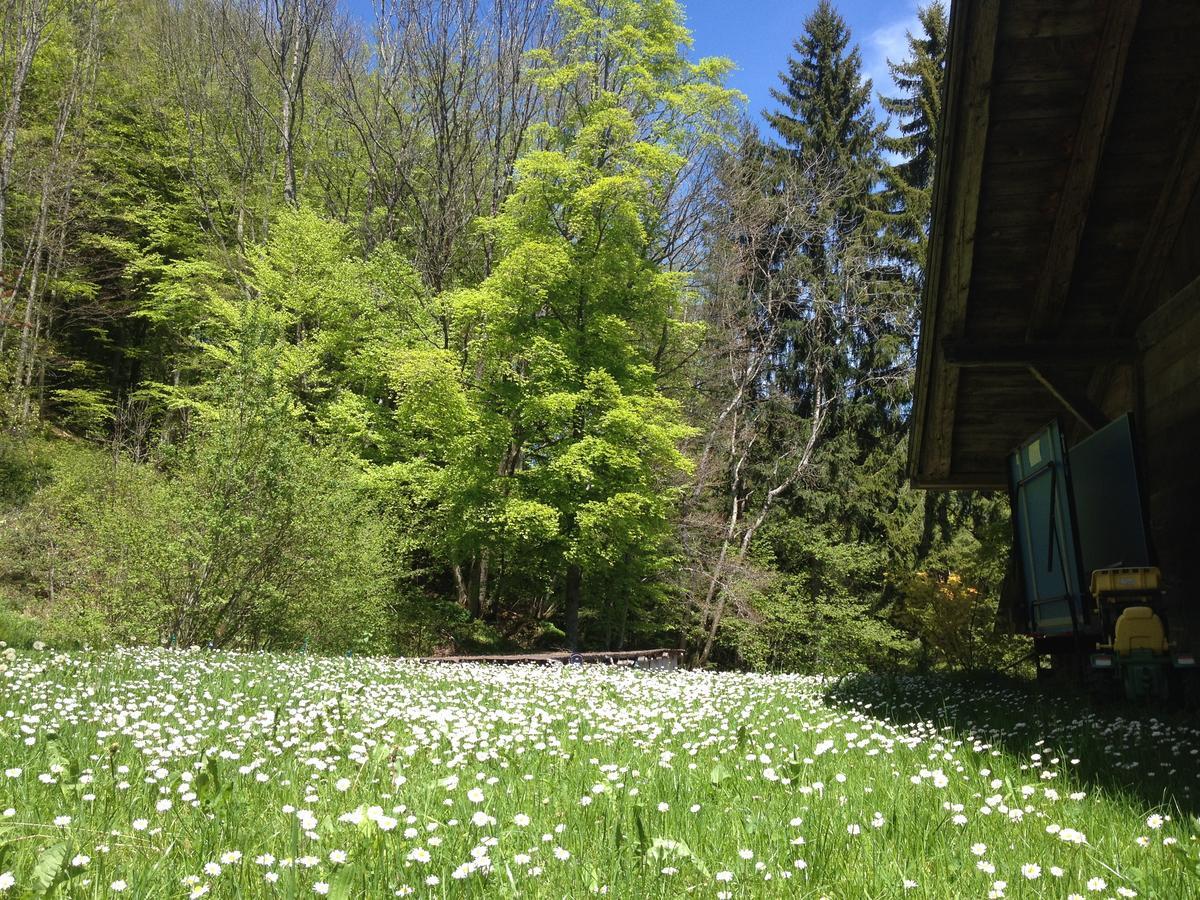 Chalet Ingas Troistorrents ภายนอก รูปภาพ